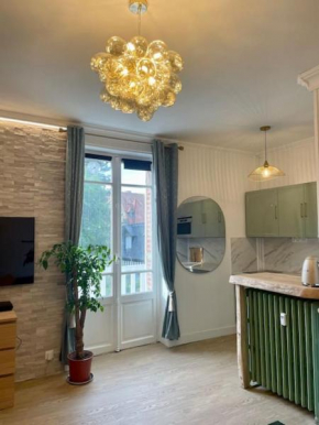 Somptueux appartement 25m2, balcon, plein centre